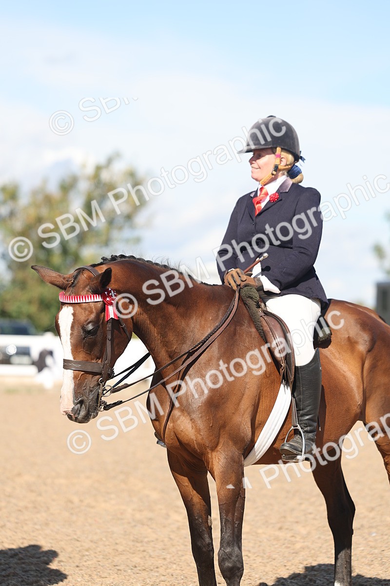 SBM_13094 - Class 305 - Ridden Foreign Breed Pure Bred