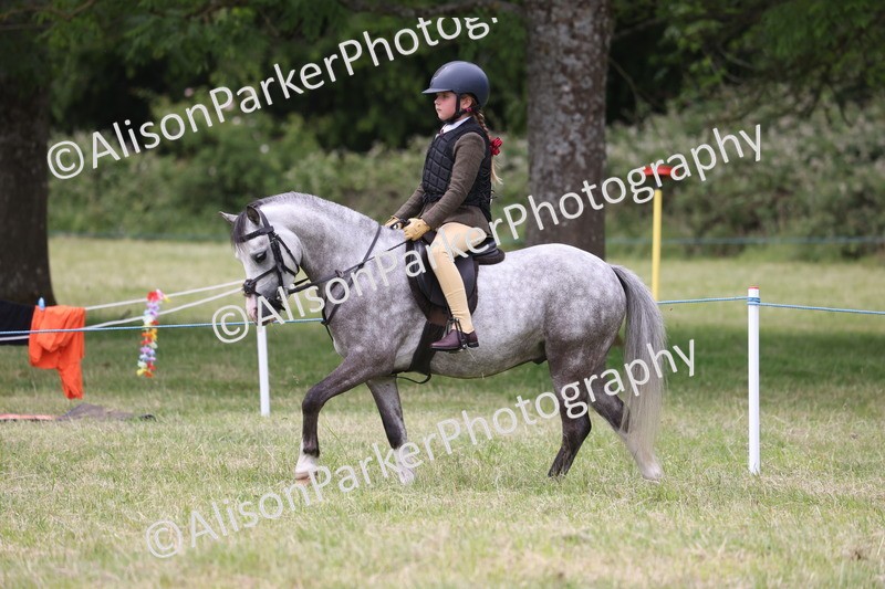 20260614-3166 - Class 22 - Open Working Hunter