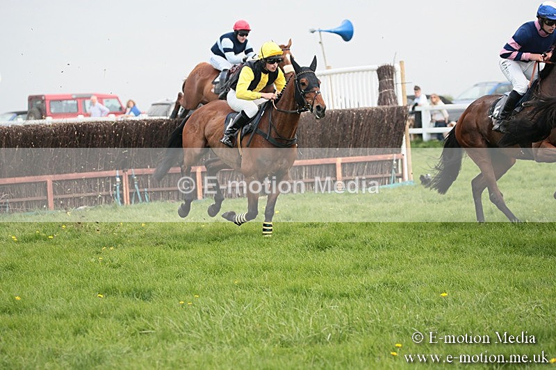 PtP 210418 345 - South & West Wilts Point-to-Point Larkhill 21/04/18