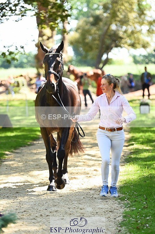 230524-150454-00054 - 355-JASON_KING-Izzy_Taylor-WEDTrotUp+DR