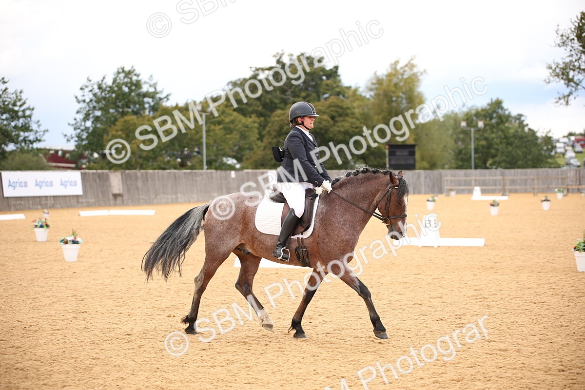 SBM_09082 - D8 Small Tour Championship Prelim 7