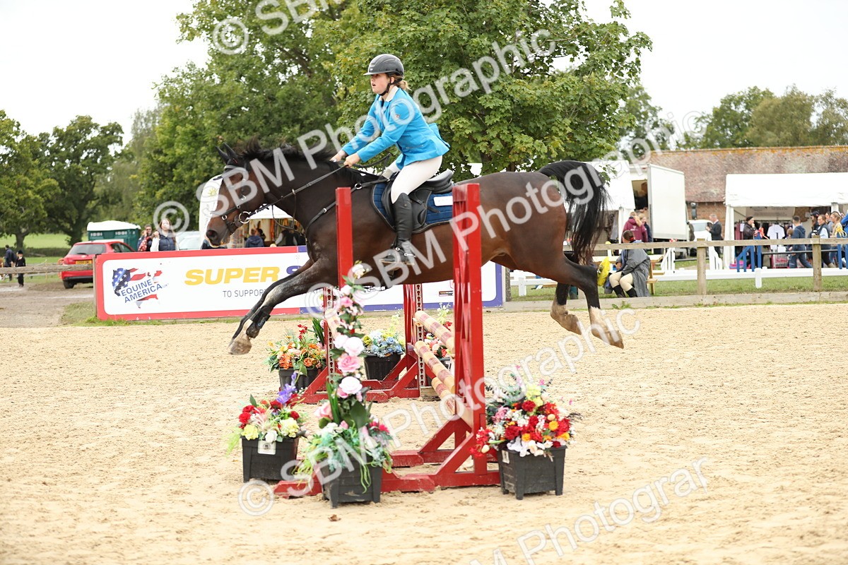 SBM_63074 - Supreme championship 75cm 80cm