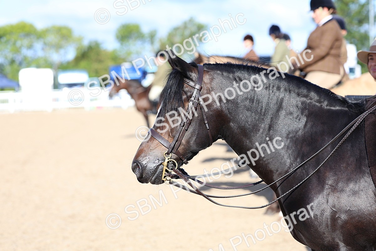SBM_08876 - Class 302 - Ridden M&M - Large Breeds