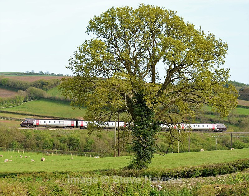3rd May 2018 - Dainton Bank, Devon
