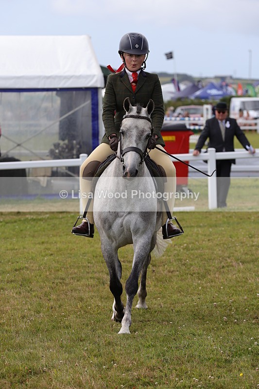 1X9A4027 - Class 32: Show Hunter Pony 153cm and under