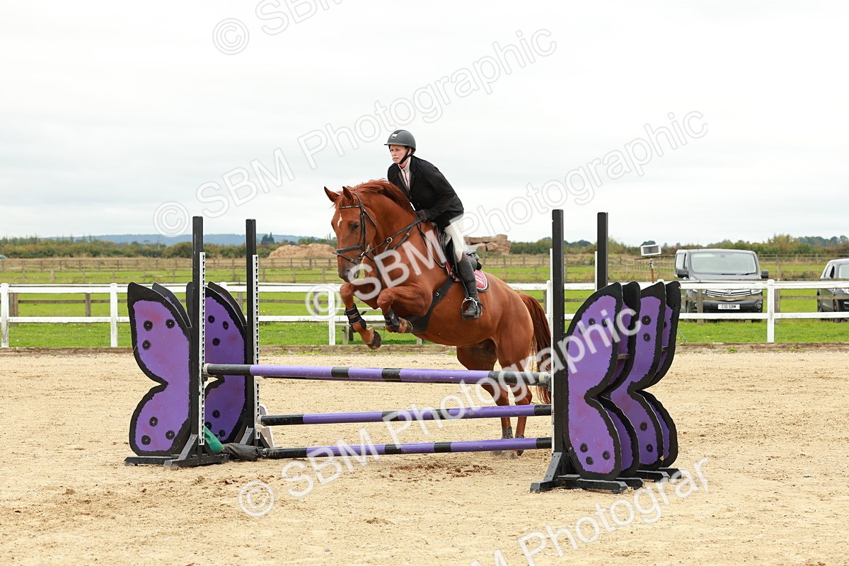 1I0A7118 - Class 2 - Senior British Novice