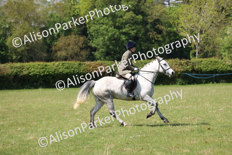 20250427-2595 - Class 20 - Working Hunter Ponies