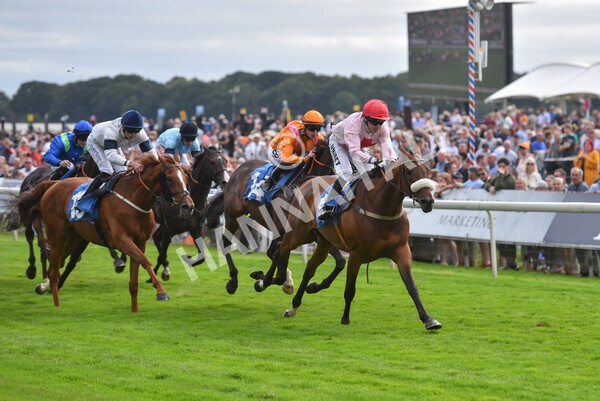 yr18082021r5-67 - Race 5 4.10pm Sky Bet Stakes