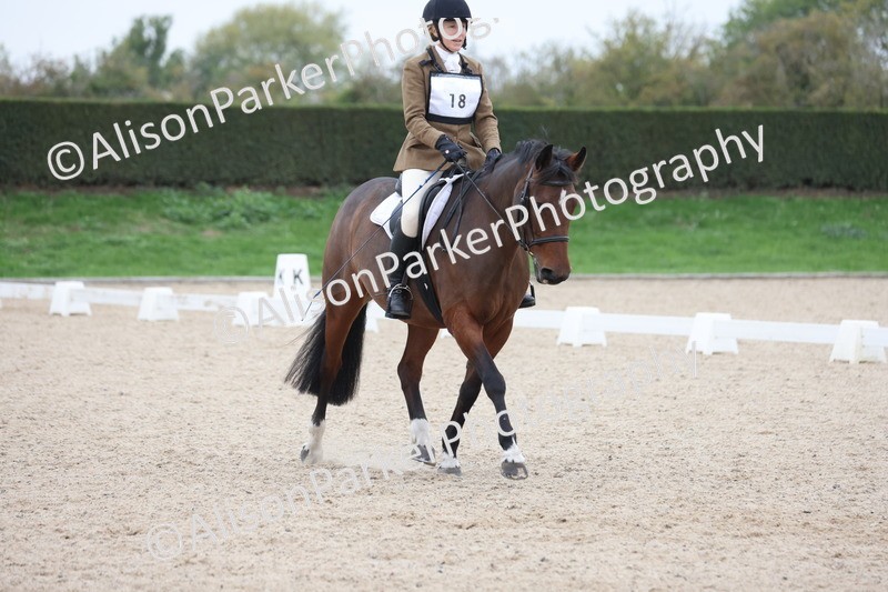 20251011-0475 - Class 4 - Novice 2