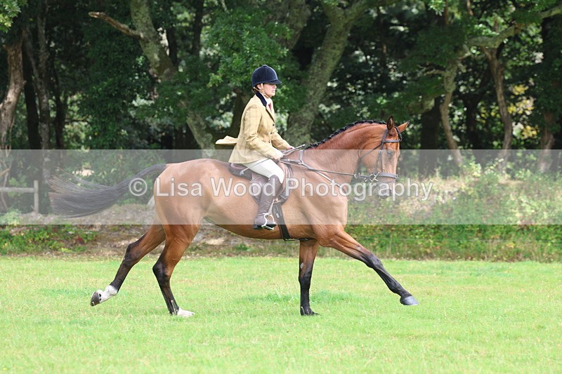 3E7A5881 - Class 26 and 27: 70cm Working Hunter