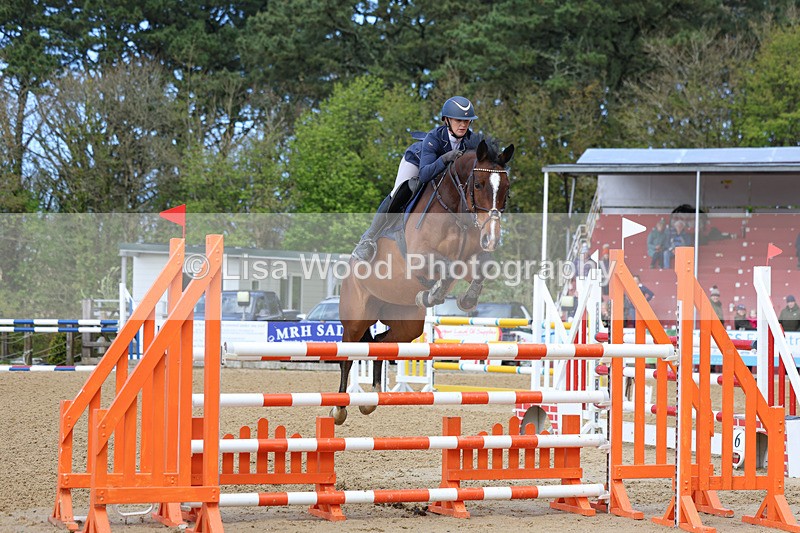 3E7A2130 - Class 8: Senior Foxhunter/1.20 open