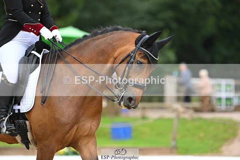 230813-084824-05693 - Cls 12 Elem Silver Start to 10.10 break