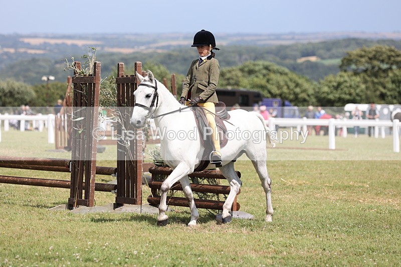 JPP_2093 - Class 19: Working Hunter 60cm