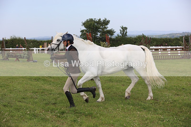 JPP_3923 - Class 23: Working Hunter 80cm