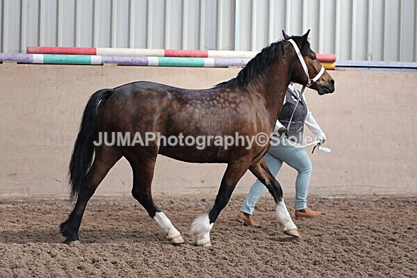 SIAL9484 - Indoor Classes