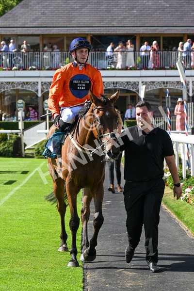120725-Race 6-Terrorise-0534 - Race 6 4.45pm John Smith's Stayers' Handicap