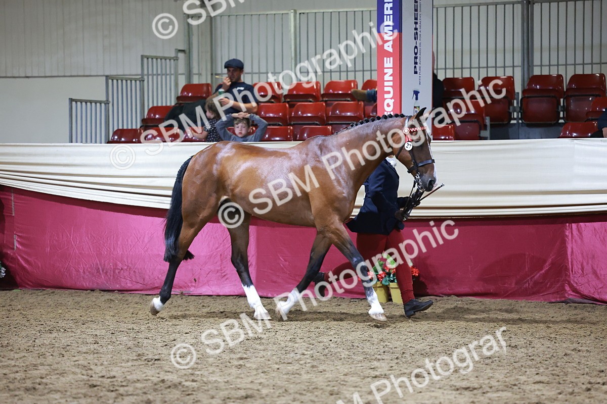 SBM_20624 - Class I - Ridden Pony Champ