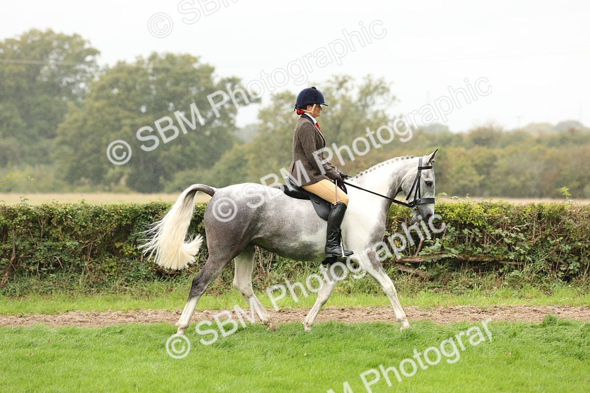 SBM_69880 - S68 - Other Coloured Horse Ridden