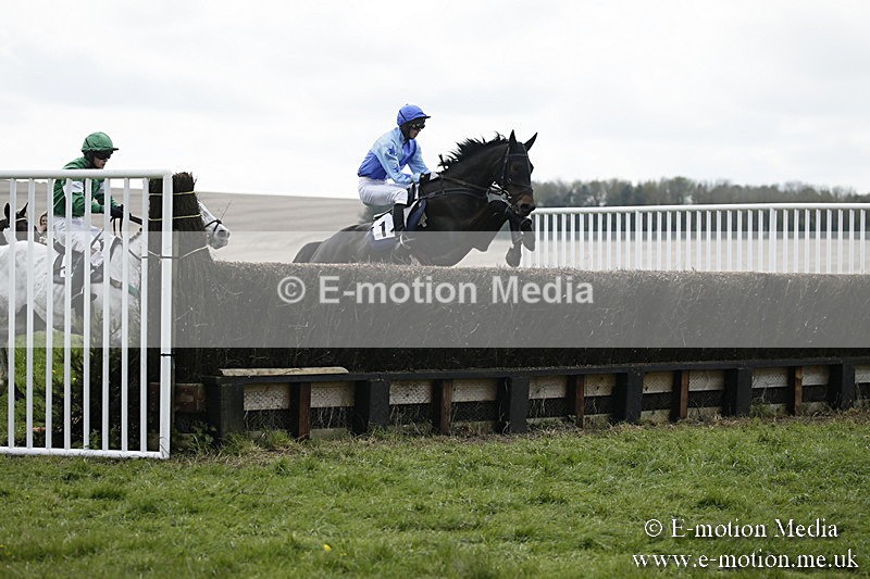 PtP 170417 71 - Old Berks Point-to-Point Lockinge 17/04/17
