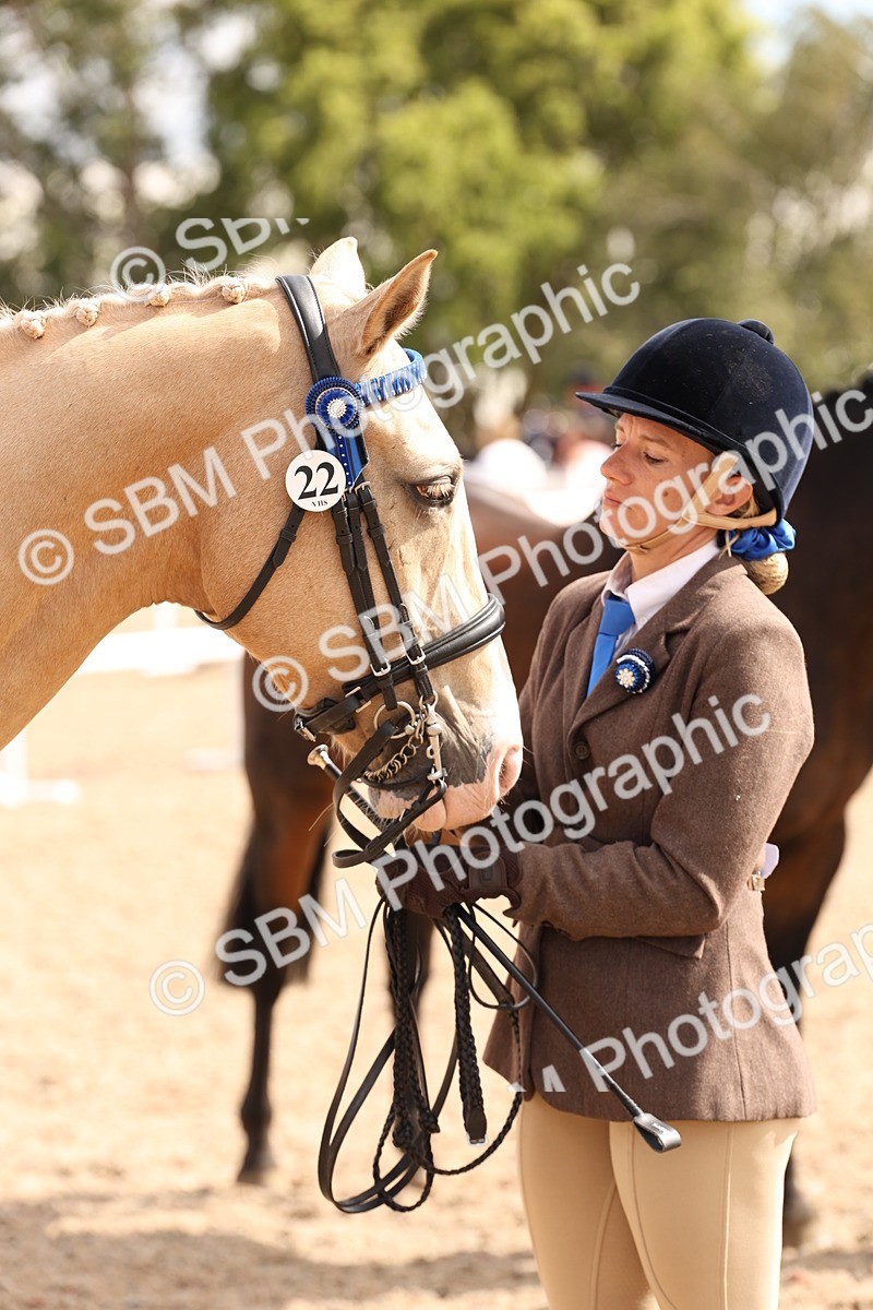 SBM_14715 - Class 208 - IH Veteran Horse
