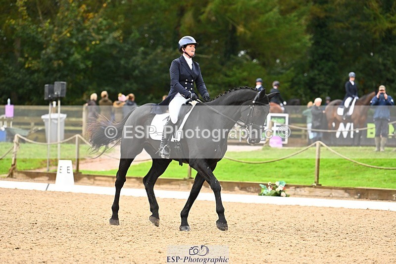 231021-114941-14991 - 343-MIDNIGHT.ROLLERCOASTER-Alison.Lidstone-DR