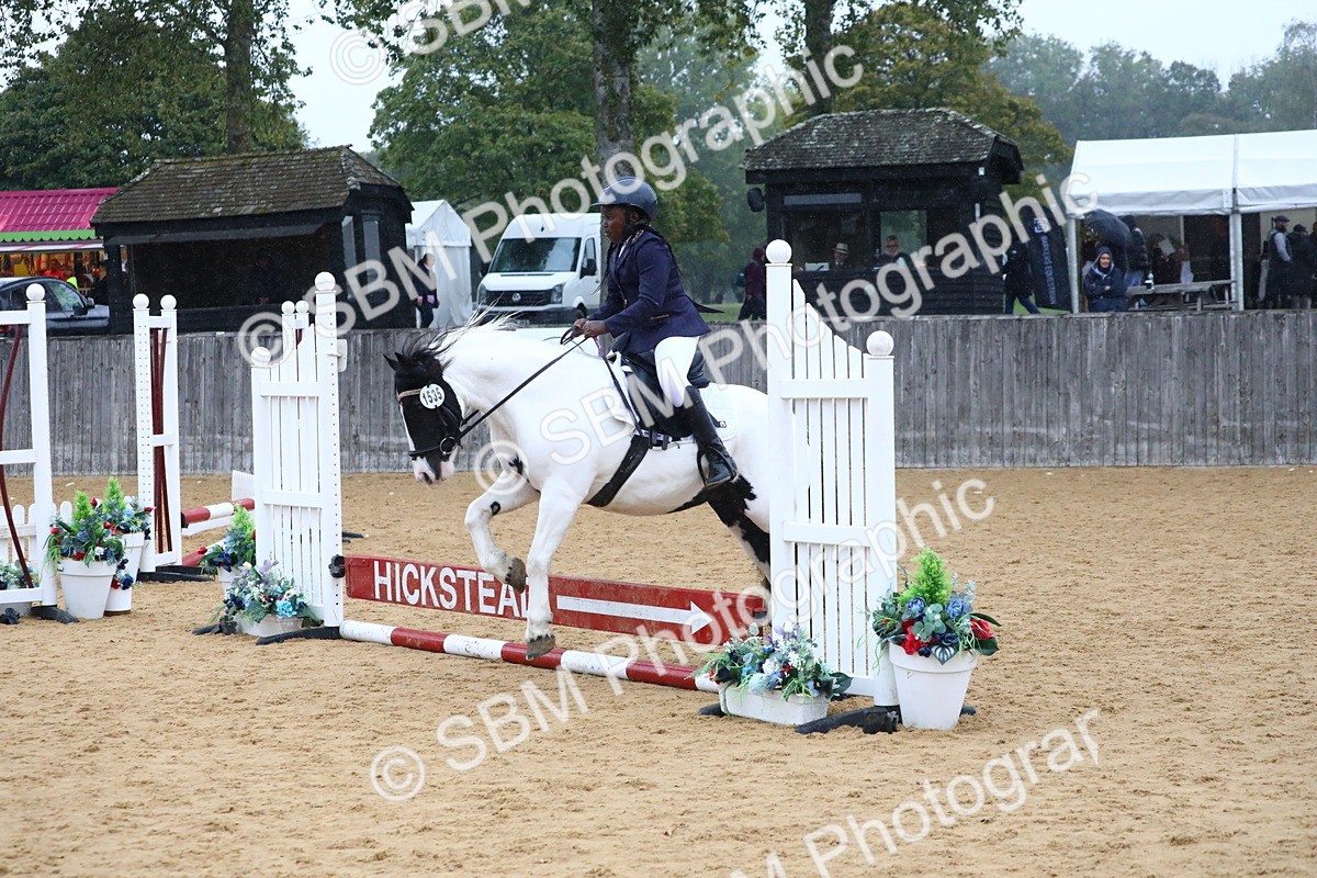 SBM_71455 - J4 - Mini Tour Junior Pony 45cm Championship