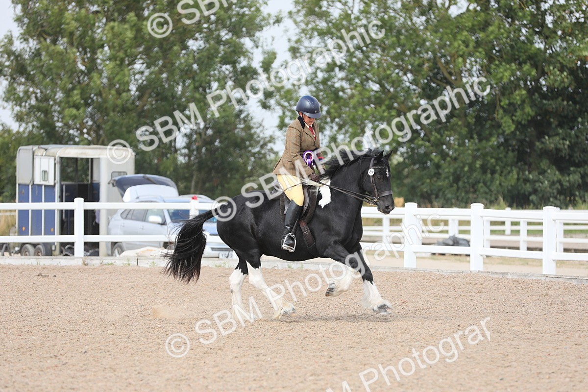 SBM_12881 - Class 307 Ridden Coloured Pony