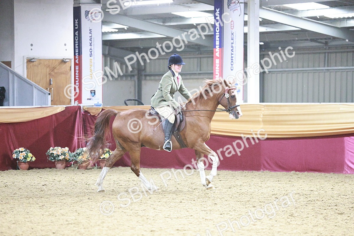 SBM_08140 - Class 11R - Regional Ridden Veteran