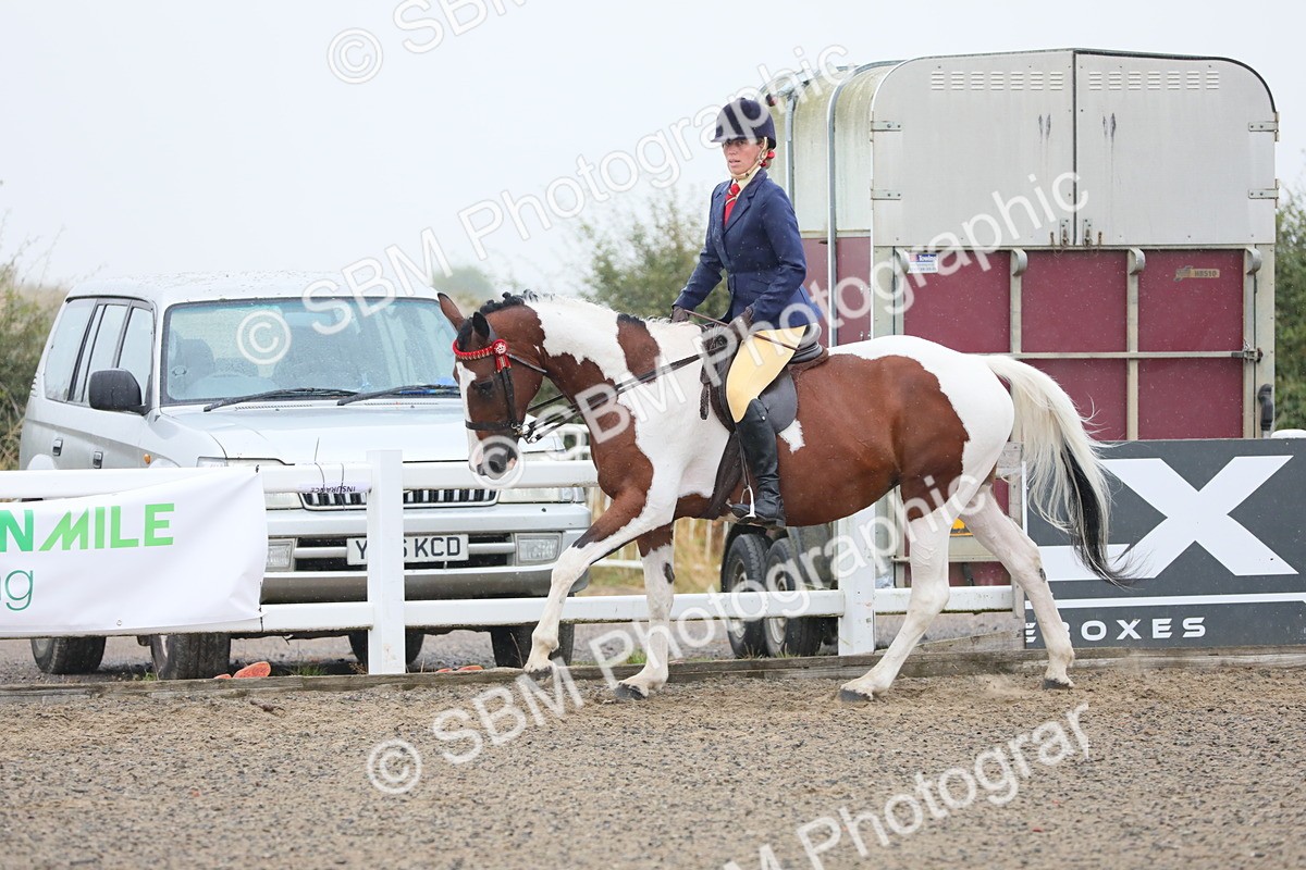 SBM_19875 - Class 801 - Ridden Veteran