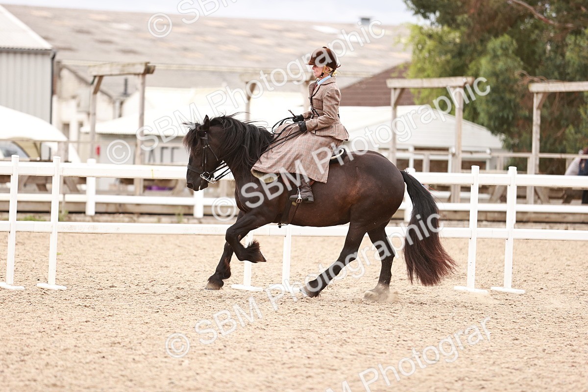 SBM_18987 - Class 422 - Ridden M&M