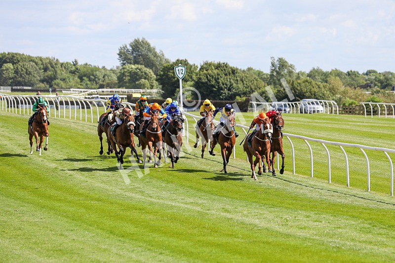 080624-Race 3-Without Delay-4699 - Race 3