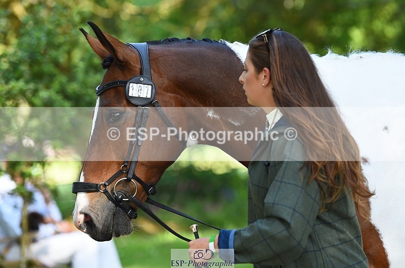 230524-163724-00984 - 107-KOLESTON_PERFECT-Torie_Sleep-WEDTrotUp+DR