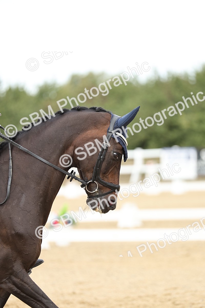 SBM_007289 - Class 25 - FEI PSG Bronze