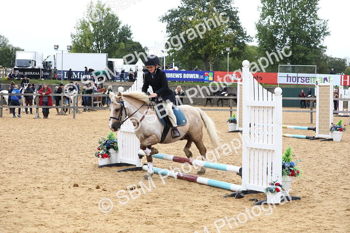 SBM_68172 - J3b - Mini Tour Junior Pony 40cm Championship