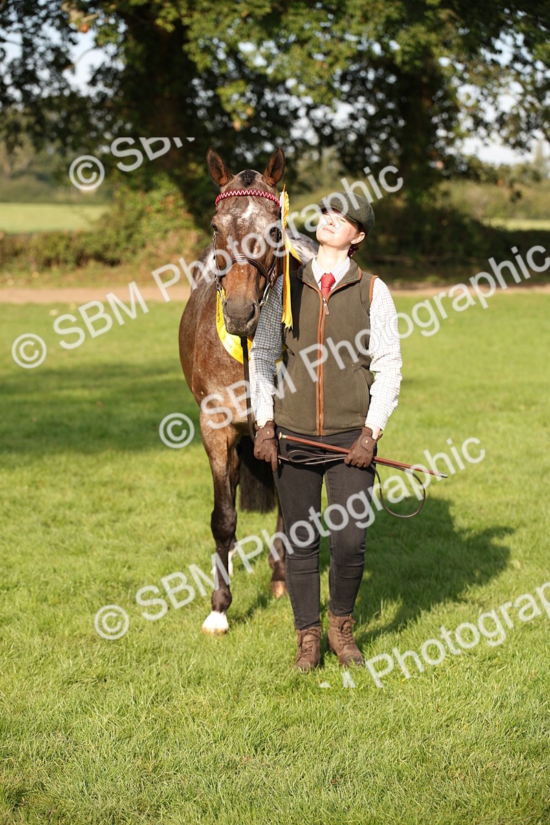SBM_59394 - S52 - Other Coloured Horse In Hand
