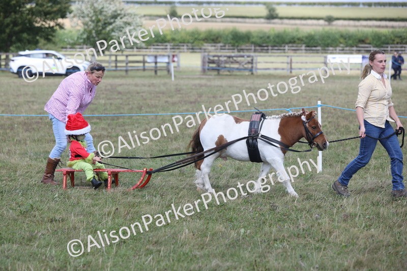 20250831-3579 - Class 26 - Fancy Dress