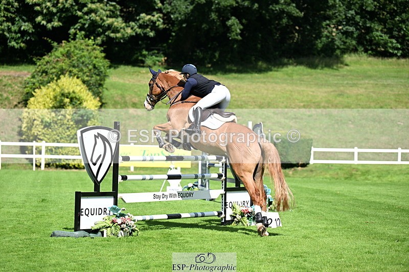 250703A-100836-02484 - Cls 1 Snr Foxhunter