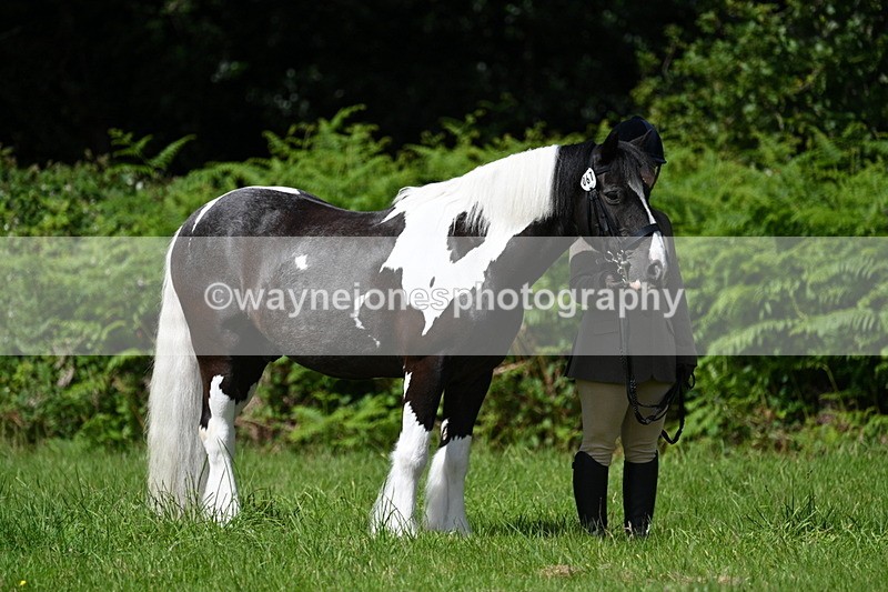 WJ7_1133 - Class 11 Condition & Turnout