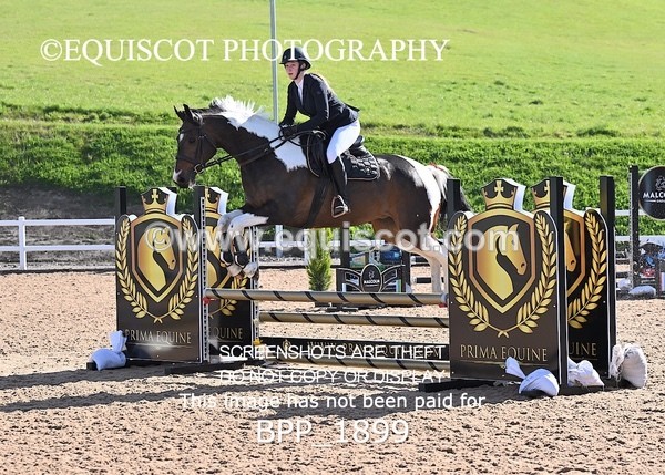BPP_1899 - CLASS 2 - FRI - KBIS Club Senior 80cms
