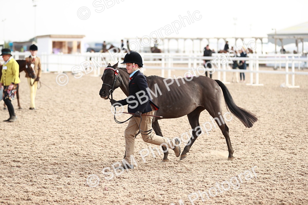 SBM_10608 - Class 204 Young Handler, 11-16 years