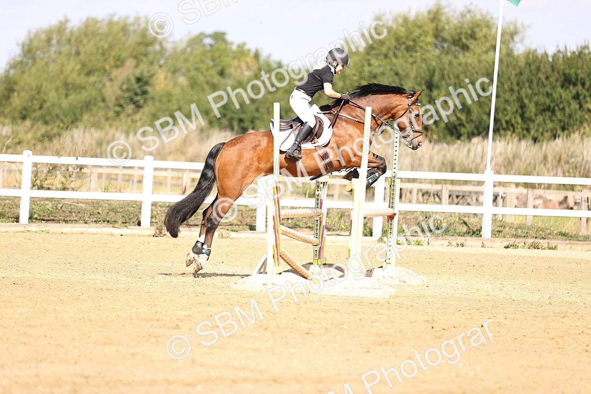 SBM_005721 - Class 9 - Senior British Novice - 90cm