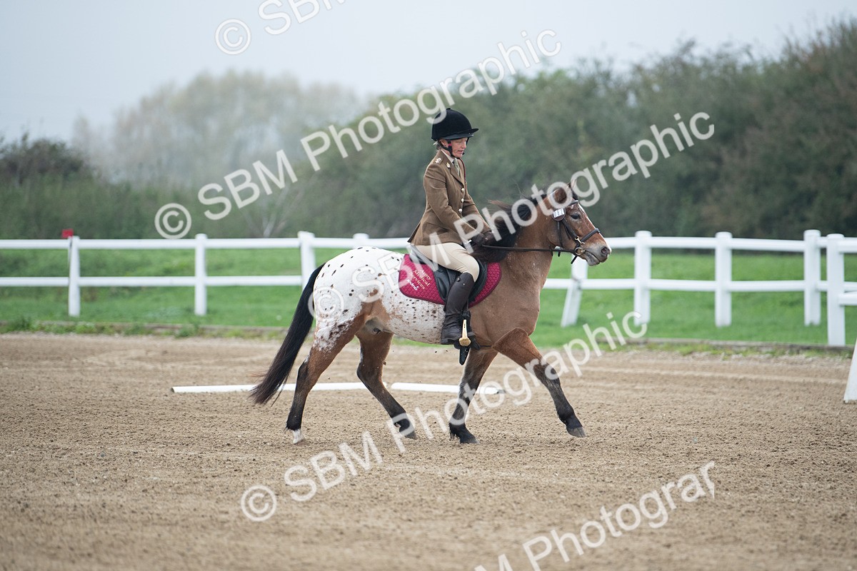 SBM_003393 - Introductory Test 3