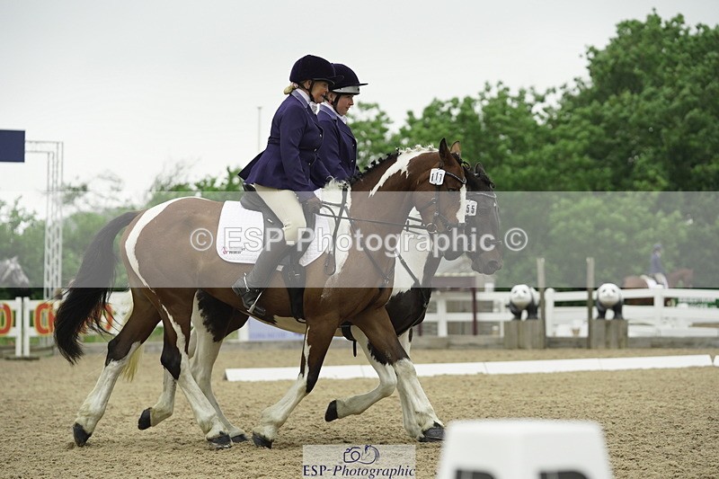 230708A-122242-00371 - BRC Pairs 5