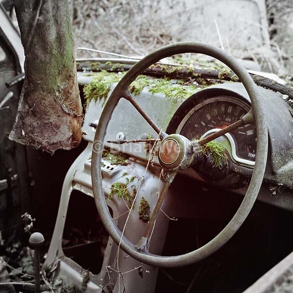 Reliant Steering Wheel - Transport and Machinery