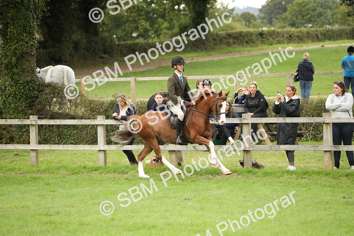 SBM_73796 - S41 - Ridden Equitation (Best Rider)