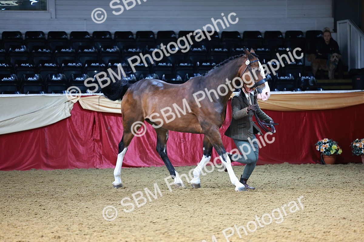 SBM_22193 - Class 902 - Supreme Final - IH Diamond