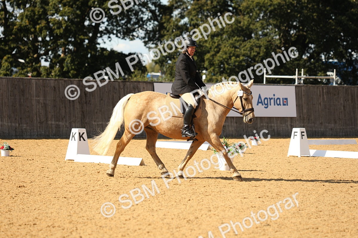 SBM_24580 - D17 - Grand Tour Championship - Novice 27