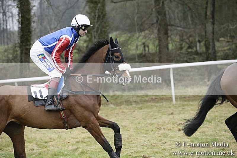 PtP 020418 -133 - Old Berks Point-to-Point Races Easter Monday 02/04/18