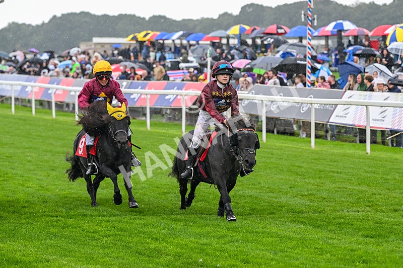 060926-Shetland Pony Race-Claredale Edward-6067 - Shetland Pony Racing 12.30pm
