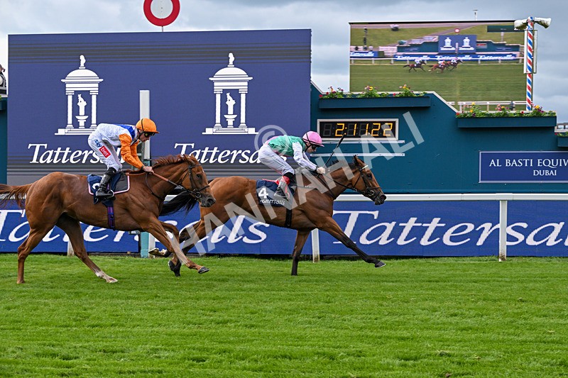 130526-Race 5-Legacy Link-3269 - Race 5 4.05pm Tattersalls Musidora Stakes